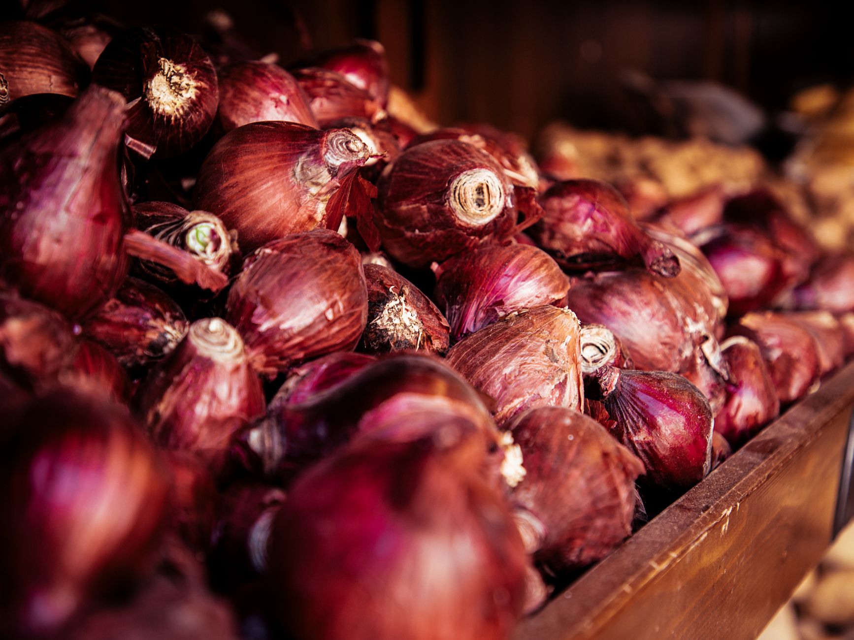 Does Raw Onion Help Insulin Sensitivity for Parkinson's Patients? - Featured image