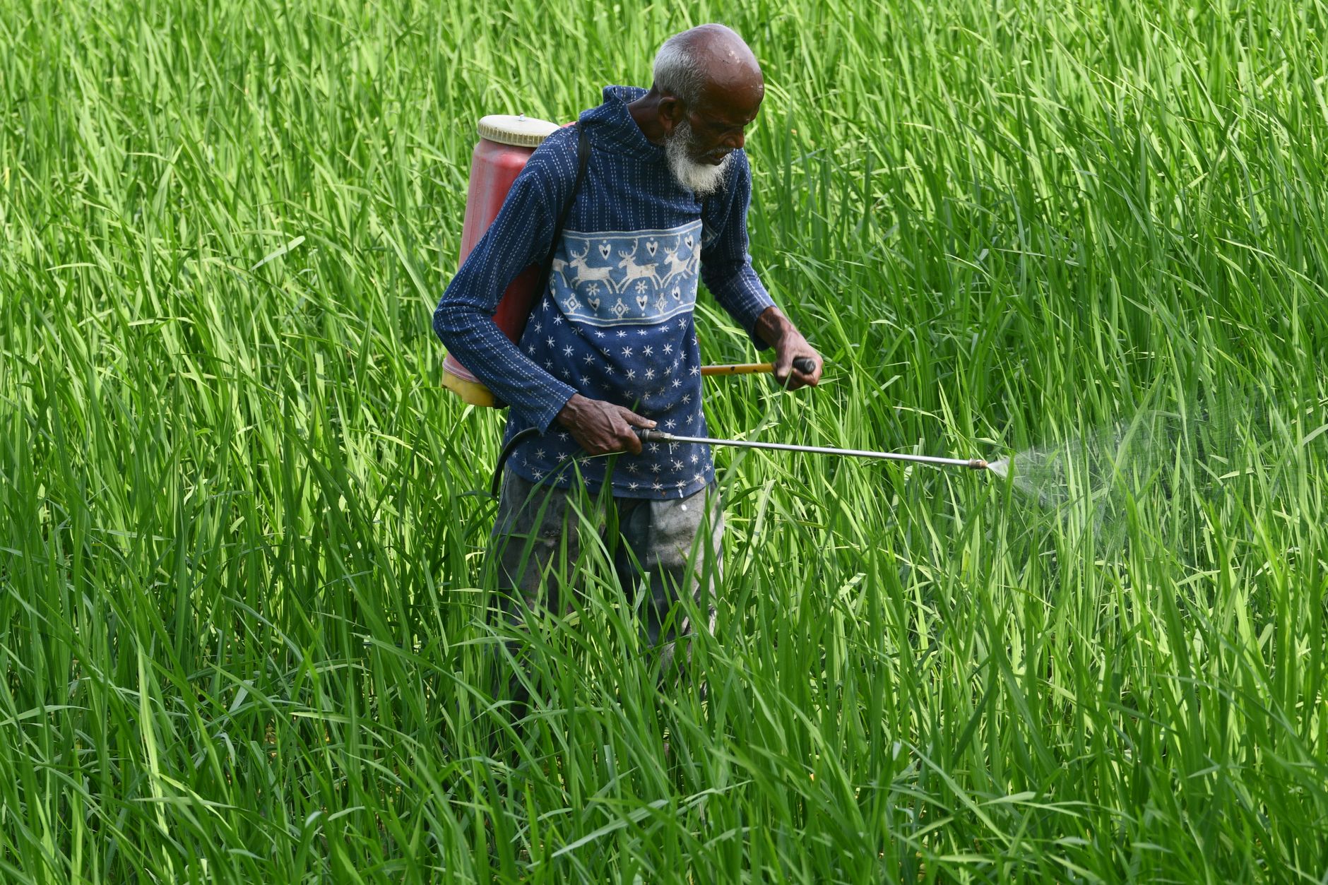Parkinson's Pesticide Studies: How Researchers Estimate Exposure Decades Later - Featured image